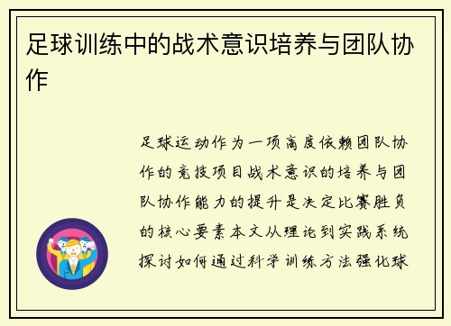 足球训练中的战术意识培养与团队协作